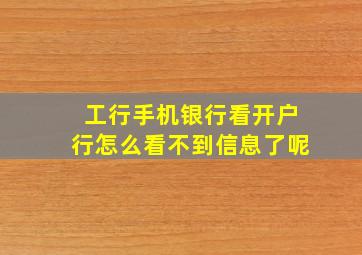 工行手机银行看开户行怎么看不到信息了呢