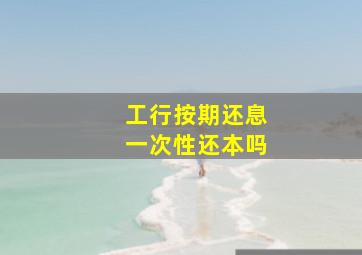 工行按期还息一次性还本吗