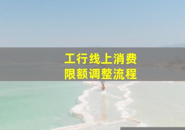 工行线上消费限额调整流程