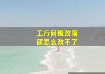 工行网银改限额怎么改不了