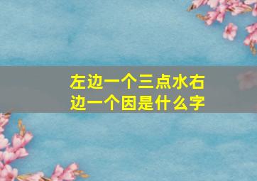 左边一个三点水右边一个因是什么字