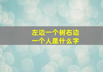 左边一个树右边一个人是什么字