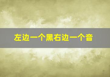 左边一个黑右边一个音