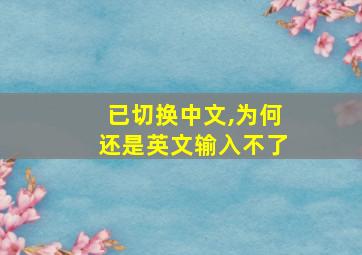 已切换中文,为何还是英文输入不了