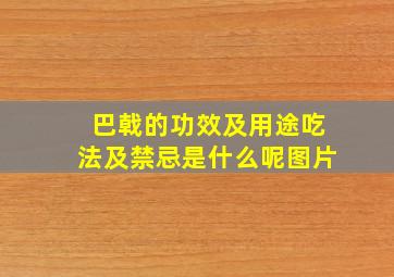 巴戟的功效及用途吃法及禁忌是什么呢图片