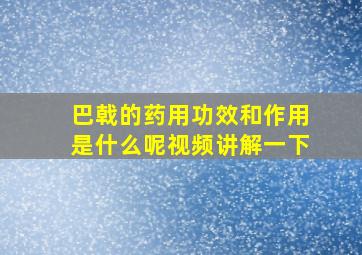 巴戟的药用功效和作用是什么呢视频讲解一下