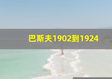 巴斯夫1902到1924