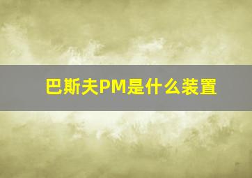 巴斯夫PM是什么装置