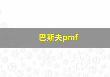 巴斯夫pmf