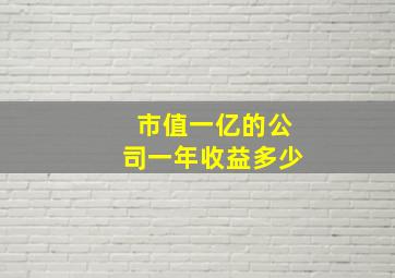 市值一亿的公司一年收益多少