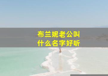 布兰妮老公叫什么名字好听