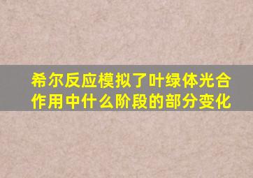 希尔反应模拟了叶绿体光合作用中什么阶段的部分变化