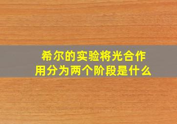 希尔的实验将光合作用分为两个阶段是什么