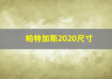 帕特加斯2020尺寸