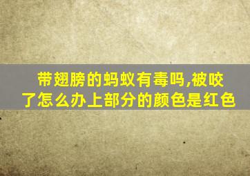 带翅膀的蚂蚁有毒吗,被咬了怎么办上部分的颜色是红色