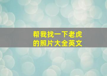 帮我找一下老虎的照片大全英文