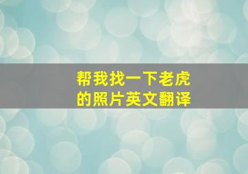 帮我找一下老虎的照片英文翻译