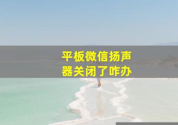 平板微信扬声器关闭了咋办