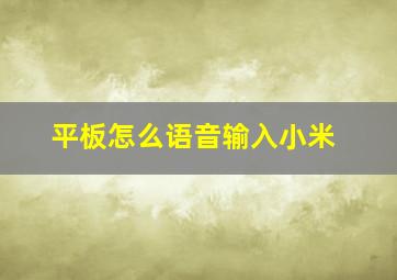 平板怎么语音输入小米