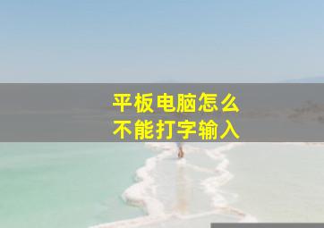 平板电脑怎么不能打字输入