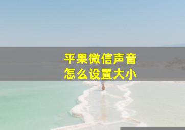 平果微信声音怎么设置大小