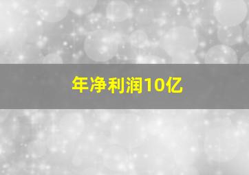 年净利润10亿