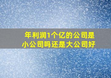 年利润1个亿的公司是小公司吗还是大公司好