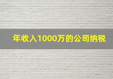 年收入1000万的公司纳税