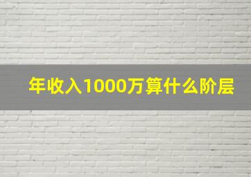 年收入1000万算什么阶层