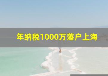 年纳税1000万落户上海