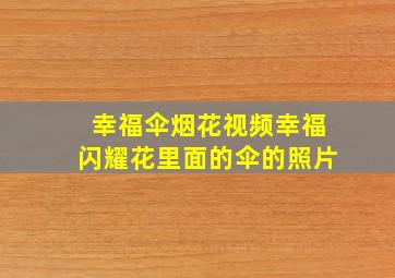 幸福伞烟花视频幸福闪耀花里面的伞的照片