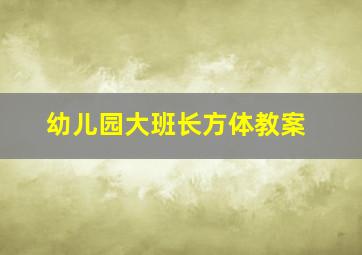 幼儿园大班长方体教案