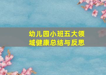 幼儿园小班五大领域健康总结与反思