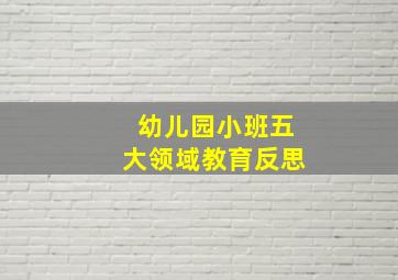 幼儿园小班五大领域教育反思