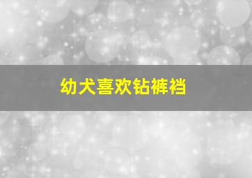 幼犬喜欢钻裤裆