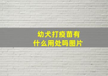 幼犬打疫苗有什么用处吗图片