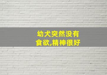 幼犬突然没有食欲,精神很好