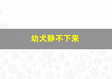 幼犬静不下来