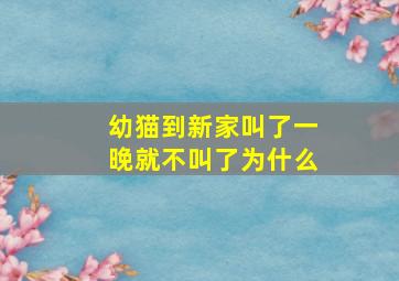 幼猫到新家叫了一晚就不叫了为什么