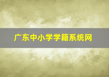 广东中小学学籍系统网