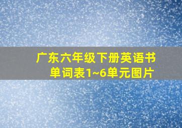 广东六年级下册英语书单词表1~6单元图片