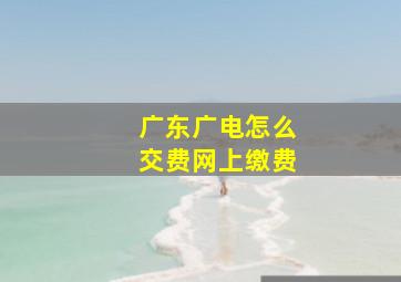 广东广电怎么交费网上缴费