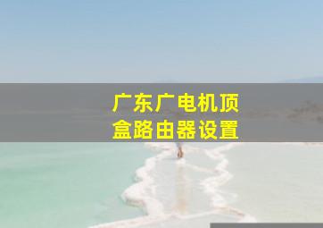 广东广电机顶盒路由器设置