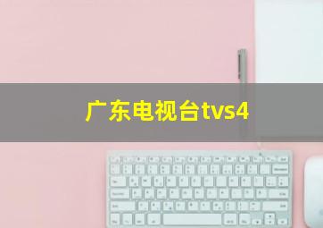 广东电视台tvs4