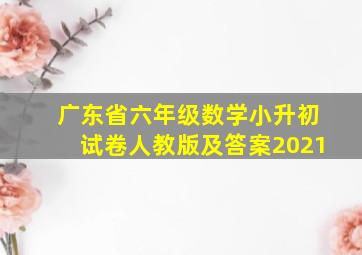 广东省六年级数学小升初试卷人教版及答案2021