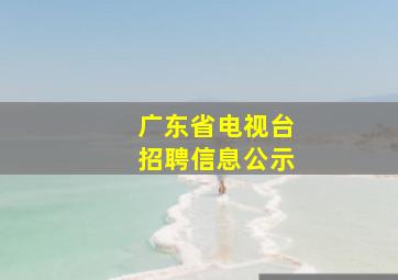 广东省电视台招聘信息公示