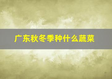 广东秋冬季种什么蔬菜