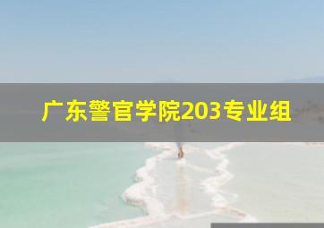 广东警官学院203专业组