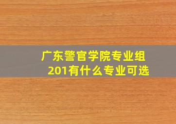 广东警官学院专业组201有什么专业可选