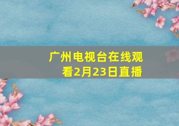 广州电视台在线观看2月23日直播